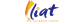 Flight Logo
